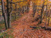 Beskid Niski